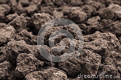 Closeup Soil texture brown background. Soil is a mixture of organic matter, minerals, gases, liquids, and organisms. it is Stock Photo