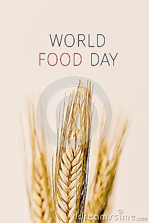 Text world food day and wheat spikes Stock Photo