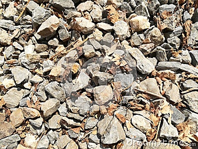 Closeup stone background and texture Stock Photo