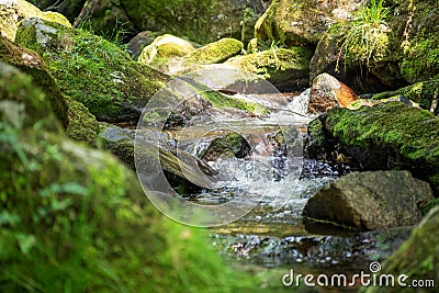 Closeup stones with moss in flowing water Stock Photo