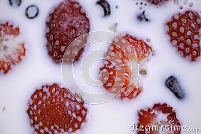 Closeup of strawberries and blueberries floating in milk. Stock Photo