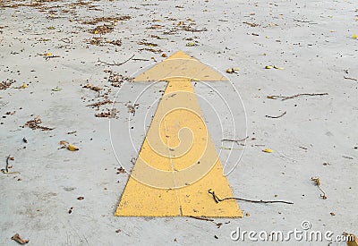 Closeup surface old and pale yellow painted arrow sign on dirty cement street floor by dried leaves textured background Stock Photo