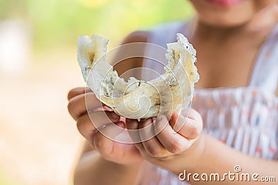 Closeup of swift-let nest on hand little girl. Stock Photo