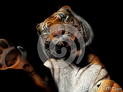 Closeup of tiger attacking Stock Photo