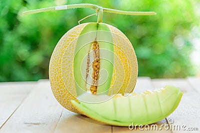 Fresh galia melon in the plate Stock Photo