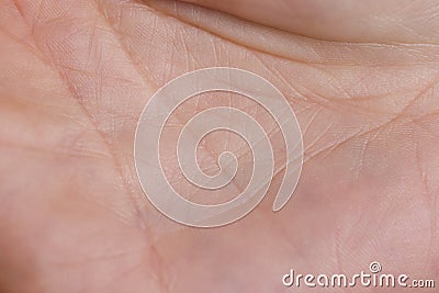 Closeup to human hand stamp and lines Stock Photo