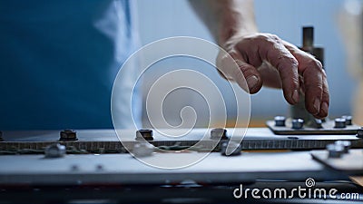 Closeup tomato factory machine moving fresh organic vegetables worker hands sort Stock Photo