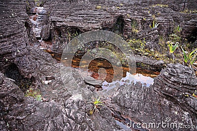Closeup of unbelievable rocky terrain with pools of mount Roraima Stock Photo