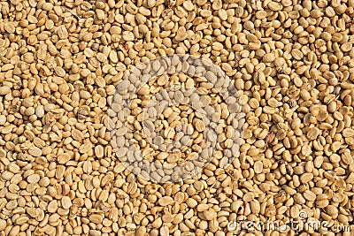 Closeup unroasted green coffee beans background natural Stock Photo