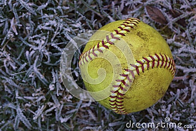 Closeup of a used, yellow softball resting on frost covered grass. Stock Photo