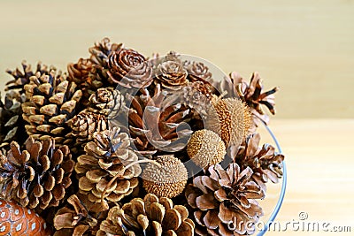 Closeup various types of natural dry pine cones in a glass bowl Stock Photo