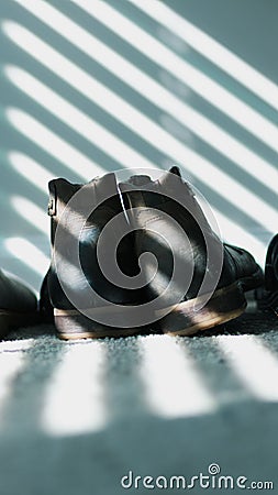 Closeup vertical shot of a pair of shoes on the carpet in sunlight with shadows Stock Photo