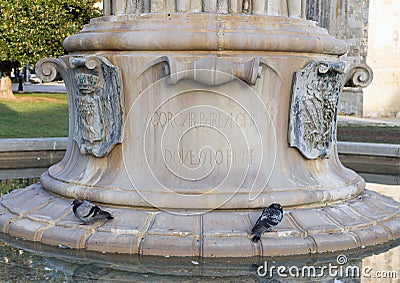 Closeup view of the base of The Fountain of Harmony in front of Castle Charles V, Lecce Stock Photo