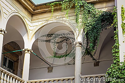 Closeup view of empty white vintage balcony with green lianas in italian yard in Lviv Stock Photo