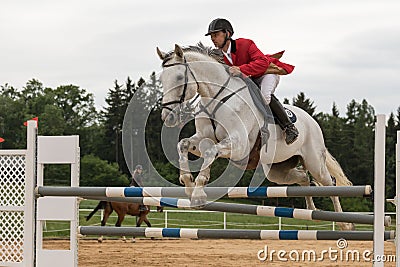Closeup view of horseman in red jacket on a white horse Editorial Stock Photo