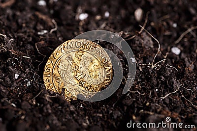 Closeup view of medieval European gold and silver coins.Old Polish coins.Zygmunt III Waza.Ancient gold and silver coins. Stock Photo