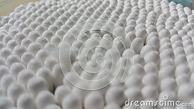 Closeup view of several cotton buds heads Stock Photo