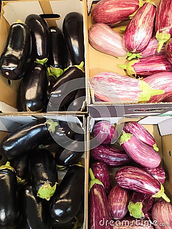 Closeup view of small purple Asian eggplants, food background photography. Pile of fresh eggplants at Indian market, vegetarian Stock Photo