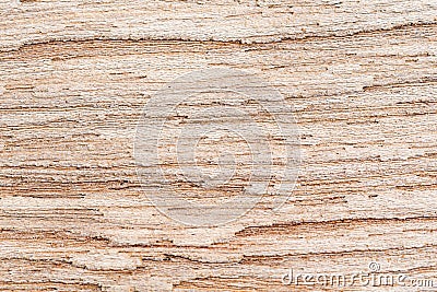 Closeup view surface texture of rotten softwood Stock Photo