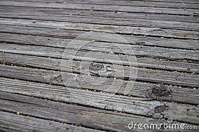 Closeup of Walkway made of Wood Planks Stock Photo