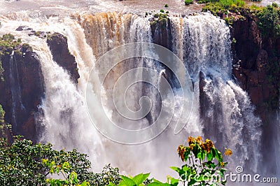 Closeup Waterfalls, Iguassu Falls, Brazil Stock Photo