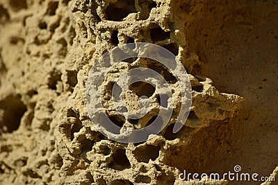 Closeup of the weathering of the globigerina limestone under the sunlight in Malta Stock Photo