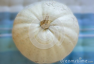 Closeup of white pumpkin, texture on a pale blue background, us Stock Photo