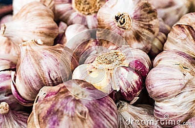 Closeup of whole unpeeled garlic bulbs Stock Photo