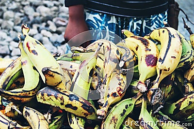 Closeup of woman selling plantains, cooking bananas, Musa paradisiaca. Street tropical fruit market. Harvest of exotic Stock Photo