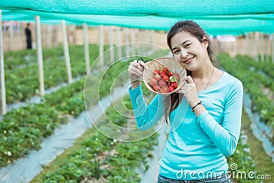 Closeup asian woman show strawberry fruit in wooden basket in strawberry farm Stock Photo