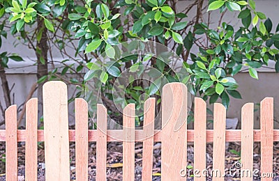 Closeup wooden fence in garden background Stock Photo