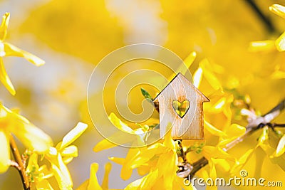 Closeup wooden house with hole in form of heart surrounded by yellow flowering branches of forsythia Stock Photo