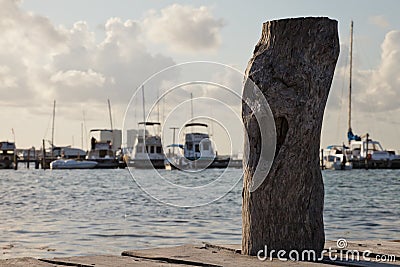 Closeup of wooden post on pier Stock Photo