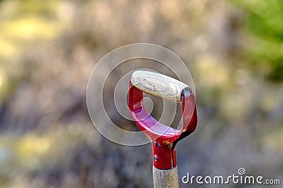 Closeup of wooden shovel in a garden or field with copy space. Zoom in on macro details, patterns and shape of a Stock Photo