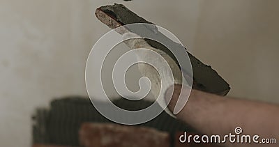 Closeup worker applying concrete glue to brick cuts tile Stock Photo