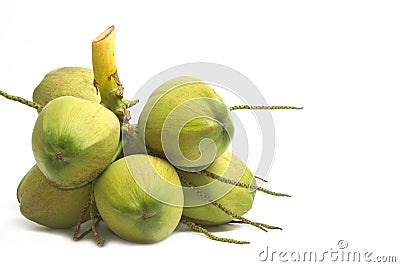 Closeup young coconut, isolate Stock Photo