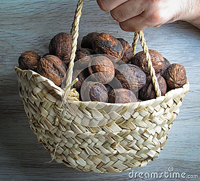 Closeupof Small wicker basket filled with whole walnuts in male hand with wooden background Stock Photo