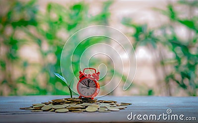 Closing time and with money growing Stock Photo