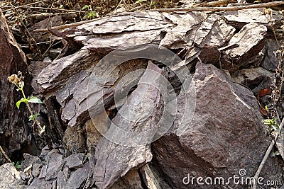 Closs up of shale stone on nature Stock Photo
