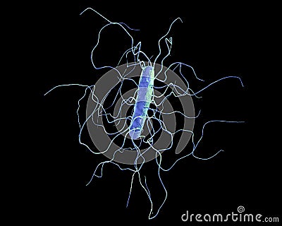 Clostridium difficile bacteria Cartoon Illustration