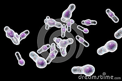 Clostridium difficile bacteria Cartoon Illustration