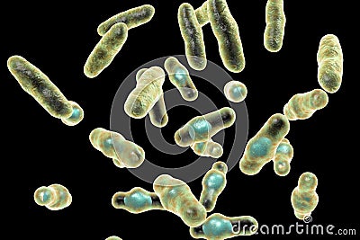 Clostridium perfringens bacteria Cartoon Illustration