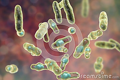 Clostridium perfringens bacteria Cartoon Illustration