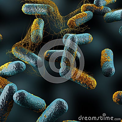 Clostridium Perfringens Bacteria Stock Photo