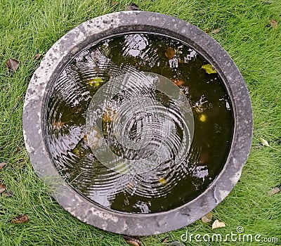 closup of circular water rings in a tiny tank Stock Photo