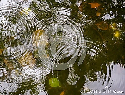 closup of circular water rings in a tiny tank Stock Photo