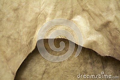 Cloth leather nature Stock Photo