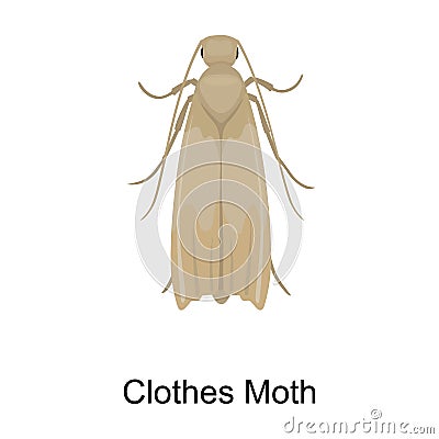 Clothes moth vector icon.Cartoon vector icon isolated on white background clothes moth. Vector Illustration
