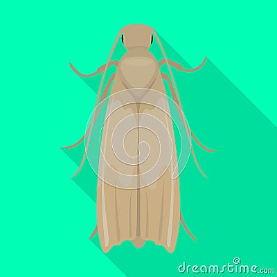 Clothes moth vector icon.Flat vector icon isolated on white background clothes moth. Vector Illustration