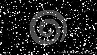 A cloud of calm white particles flowing slowly on black abstract background, seamless loop. Animation. Round shaped Stock Photo